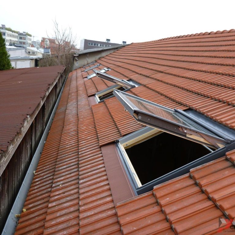 Pose de Velux dans le 77